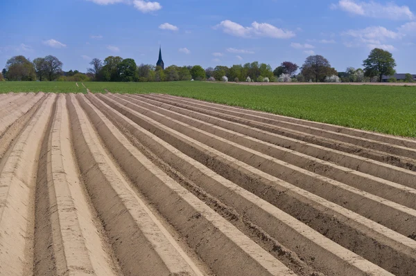 Aardappel veld, vers geploegd — Stockfoto