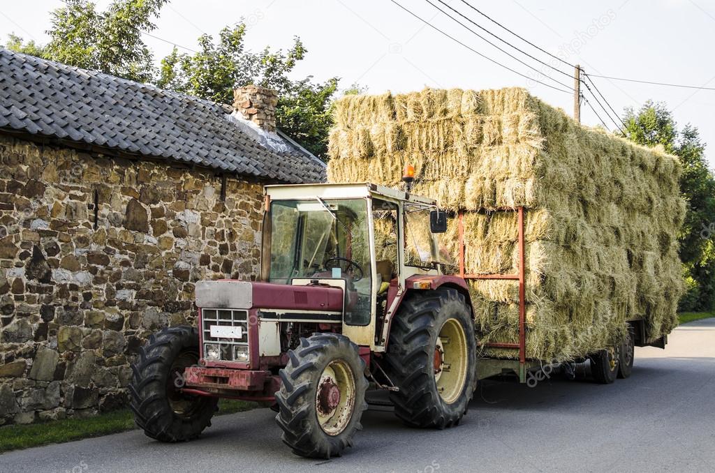 Hay, transport with tractor and hay cart — Stock Photo © TReinhard