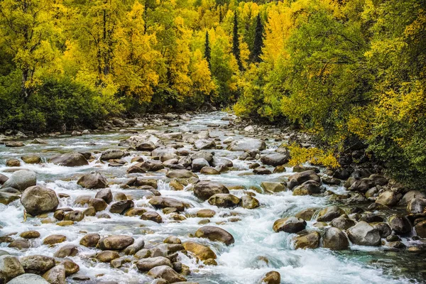 Creek and woods at fall