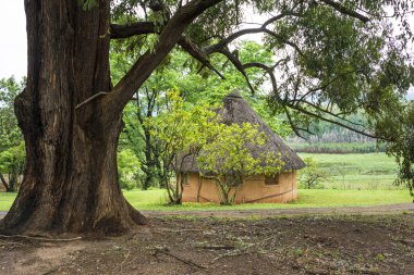 Afrika yuvarlak hut