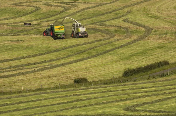 Hooien, voedergewassen harvester — Stockfoto