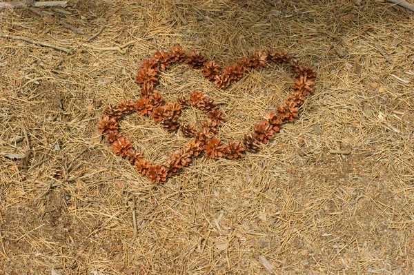 프레임의 소나무 콘-심장, 야외 — 스톡 사진