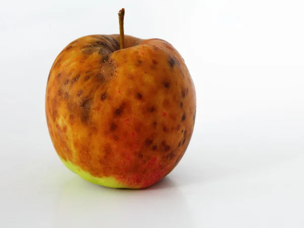 Pomme gâtée sur fond blanc — Photo