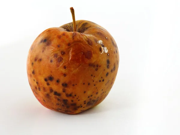 Manzana estropeada sobre fondo blanco —  Fotos de Stock