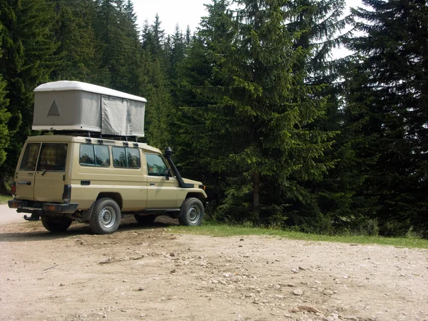 stock image Tourist car in the woods