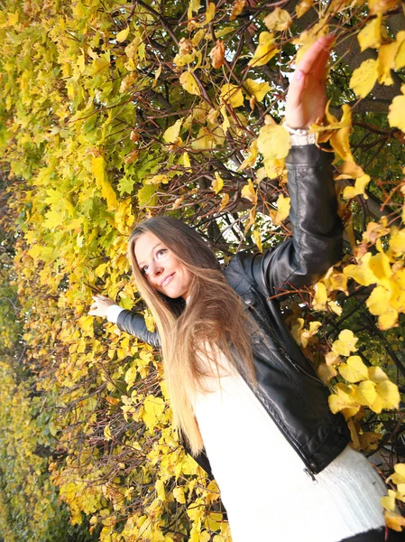 Frau mädchen portret im herbst grün blatt wand — Stockfoto