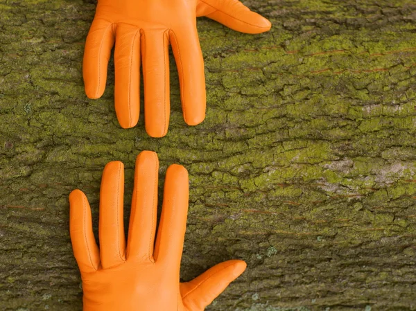 Två händer i handskar på en trä bakgrund — Stockfoto