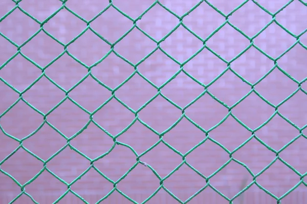 Groene draad hek op roze achtergrond — Stockfoto