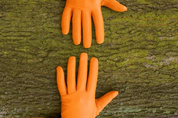 两只手在手套上一个木制的背景 — 图库照片