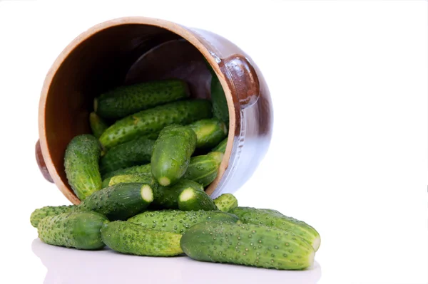 Pot van komkommers en teentje knoflook — Stockfoto