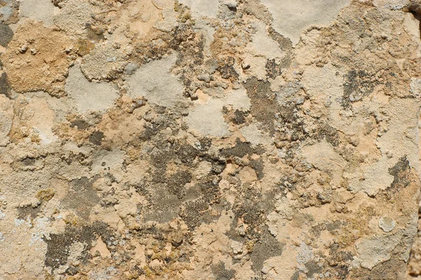 Estruturas de uma rocha, pedra. Uma superfície de paredes de fundo — Fotografia de Stock