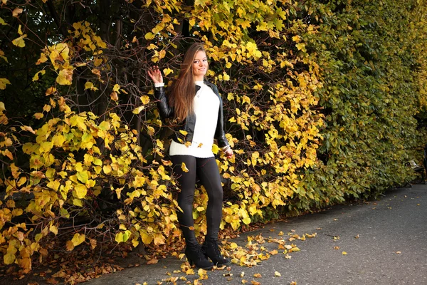 Vrouw meisje portret in herfst groen blad muur — Stockfoto