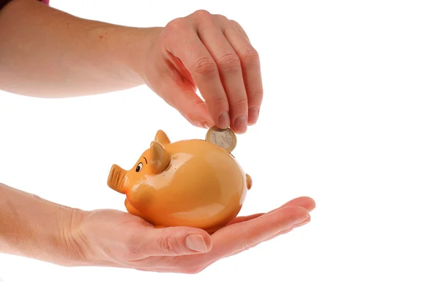 Piggy bank, hand and euro currency — Stock Photo, Image