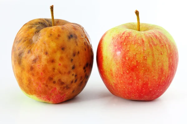 Manzana estropeada sobre fondo blanco Manzanas sanas y podridas —  Fotos de Stock