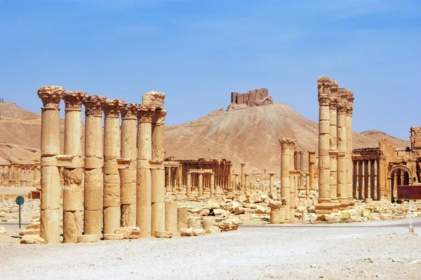 Gamla palmyra, Syrien — Stockfoto