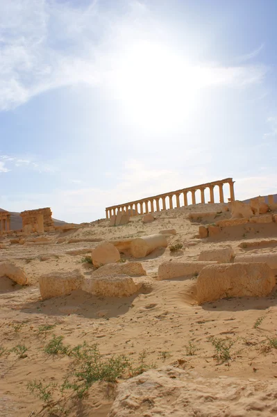 Стародавньої Пальміри, Сирія — стокове фото