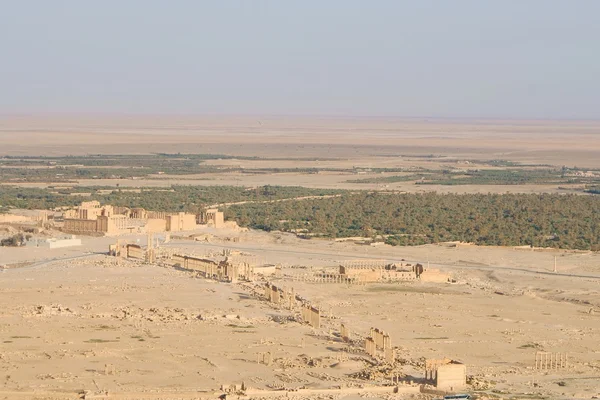 Starożytne palmyra, syria — Zdjęcie stockowe