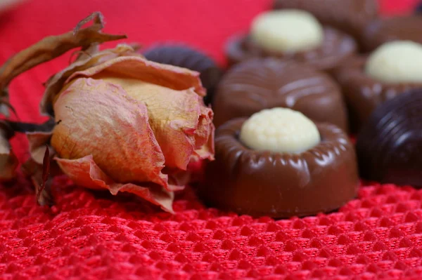 Schokolade Pralinen Bonbons auf rotem Hintergrund und Rose — Stockfoto