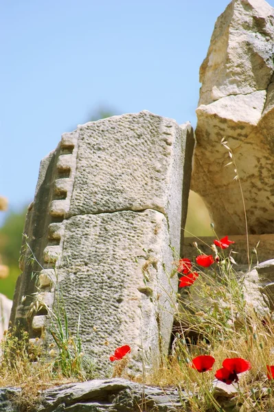 Flores de amapola y ruinas antiguas — Foto de Stock