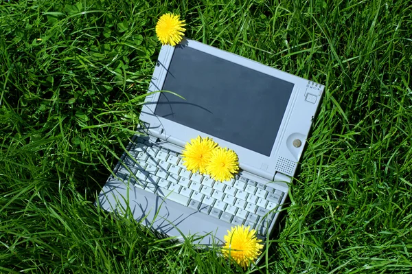 Laptop outdoors — Stock Photo, Image