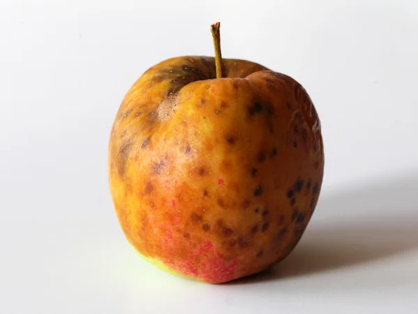 Pomme gâtée sur fond blanc — Photo