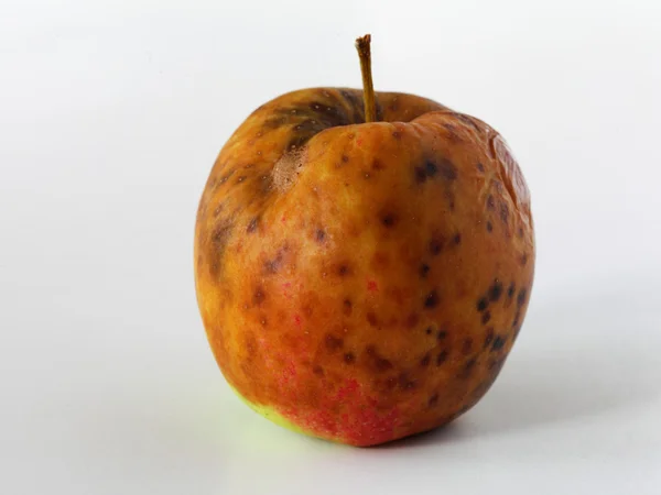 Apple spoiled on white background — Stock Photo, Image