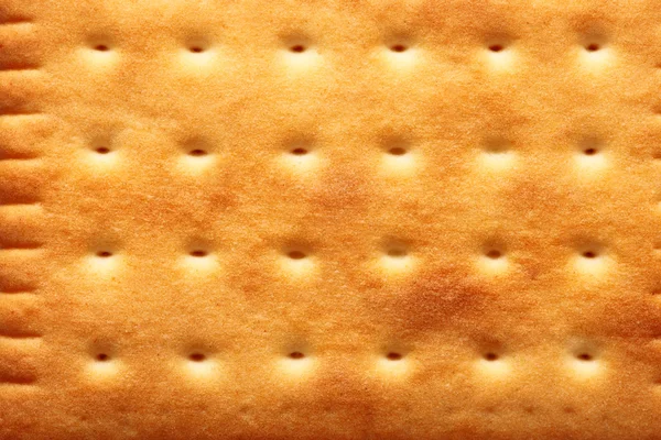 Closeup cookie biscuits texture background — Stock Photo, Image