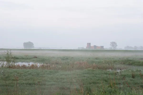 Niebla de la mañana cuelga sobre la ruina del viejo castillo — Foto de Stock
