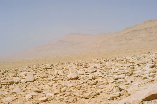 Deserto di pietra — Foto Stock