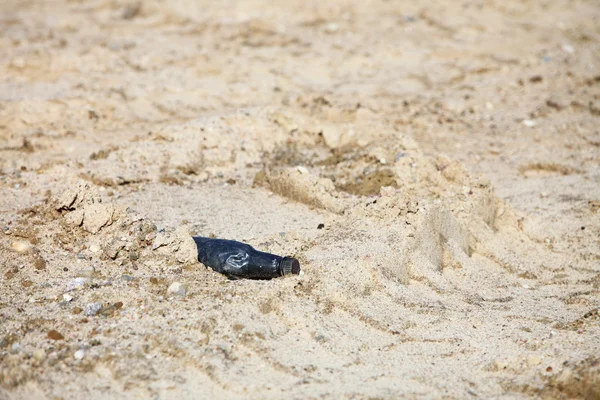 Black Plastic bottle in sand outdoor — Stock Photo, Image