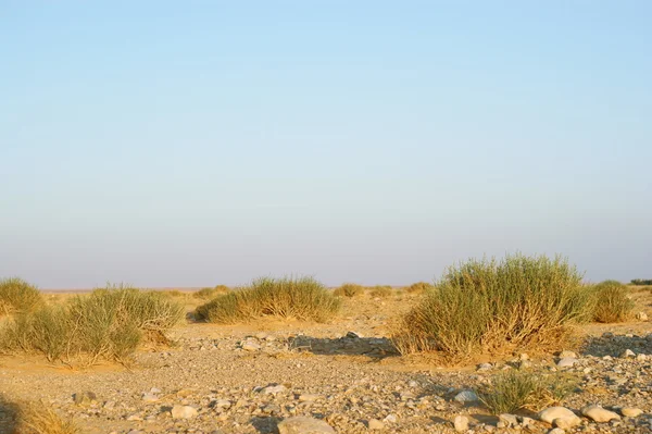 Deserto di pietra e cielo blu — Foto Stock