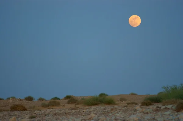 Cielo nocturno y luna en el desierto . — Foto de Stock