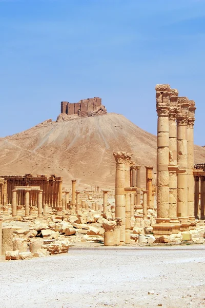 Das antike Palmyra, Syrien — Stockfoto