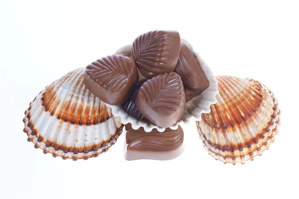 Chocolate pralines and shells — Stock Photo, Image