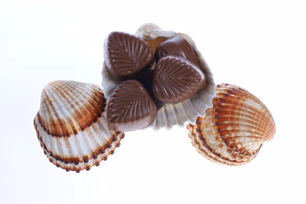 Pralinas e conchas de chocolate — Fotografia de Stock