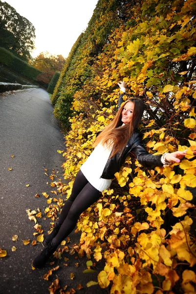 Mulher menina portret no outono verde folha parede — Fotografia de Stock