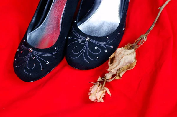 Zwarte vrouwelijke schoenen en rose op rode achtergrond — Stockfoto