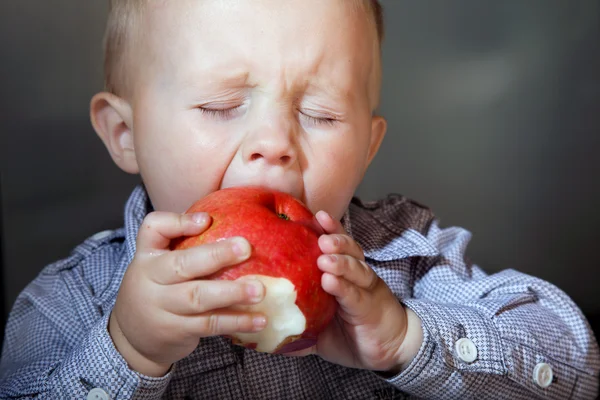 小さな男の子がリンゴを食べて — ストック写真