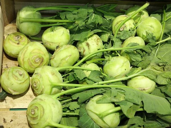 Green radish in supermarket — Stock Photo, Image