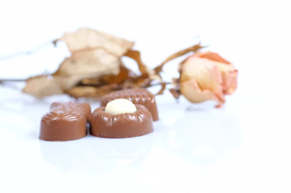 Chocolate pralines and rose — Stock Photo, Image