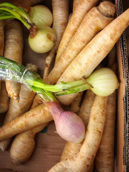 Parsley root and onion in market — Stock Photo, Image