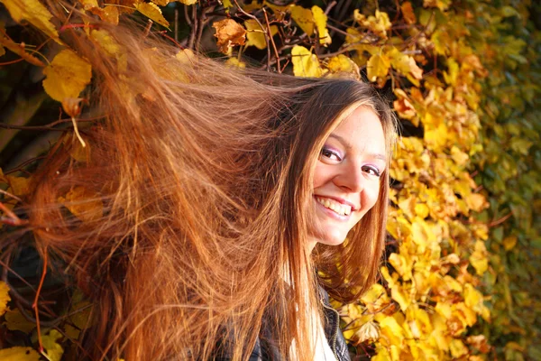 秋の緑の葉の壁で女の女の子 portret — ストック写真