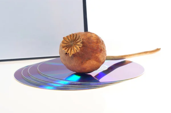 Disc and poppy - addiction computers CD DVD — Stock Photo, Image