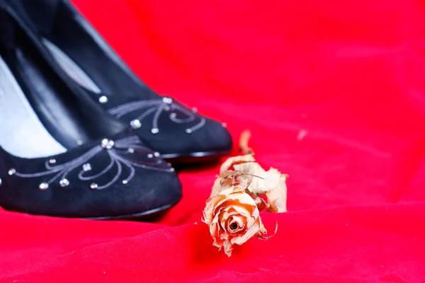 Черные женские туфли и роза на красном фоне — стоковое фото