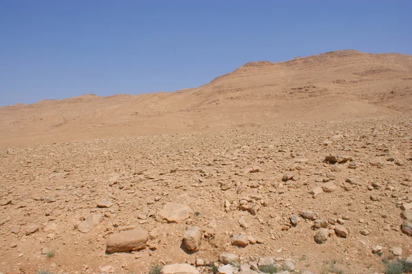 Deserto di pietra e cielo blu — Foto Stock