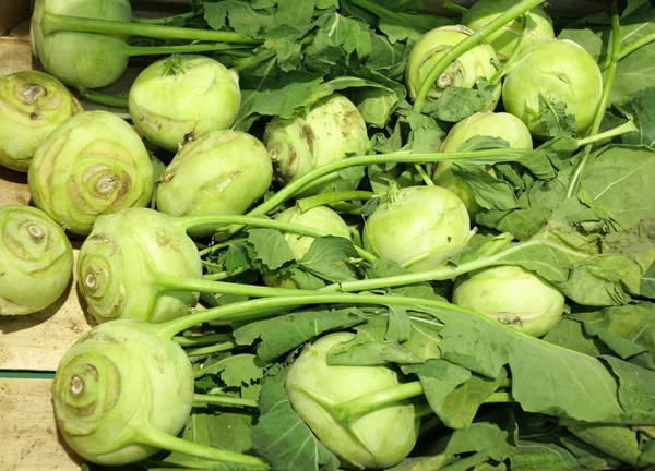 Green radish in supermarket — Stock Photo, Image