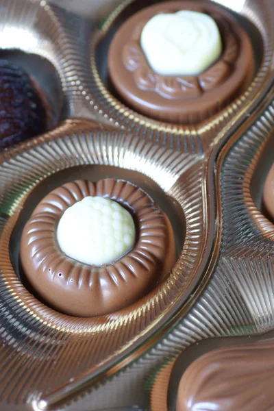 Конфеты из пралине шоколада — стоковое фото
