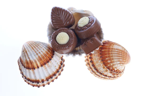 Pralinas e conchas de chocolate — Fotografia de Stock