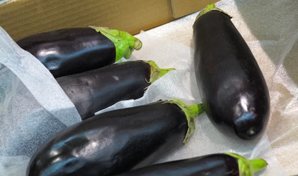 Black eggplants in market — Stock Photo, Image