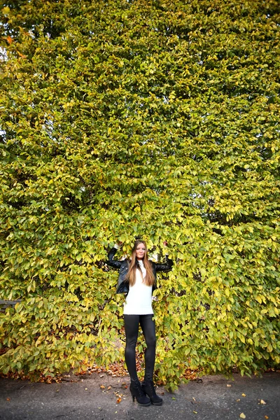 Mujer chica portret en otoño verde hoja pared — Foto de Stock